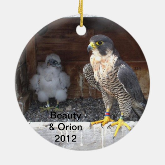 Ornement 2012 de beauté (Dos)