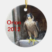 Ornement 2012 d'Orion (Devant)