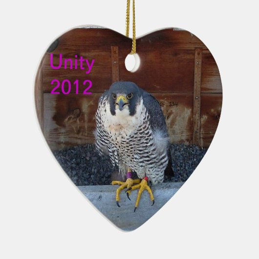 Ornement 2012 d'unité (Droite)