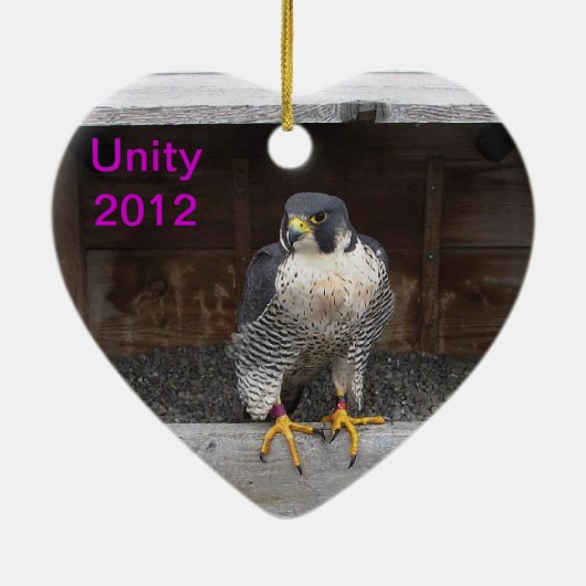 Ornement 2012 d'unité (Dos)