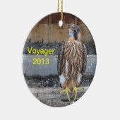 Ornement 2013 de Voyager (Droite)