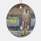 Ornement 2013 de Voyager (Gauche)