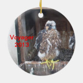 Ornement 2013 de Voyager (Dos)