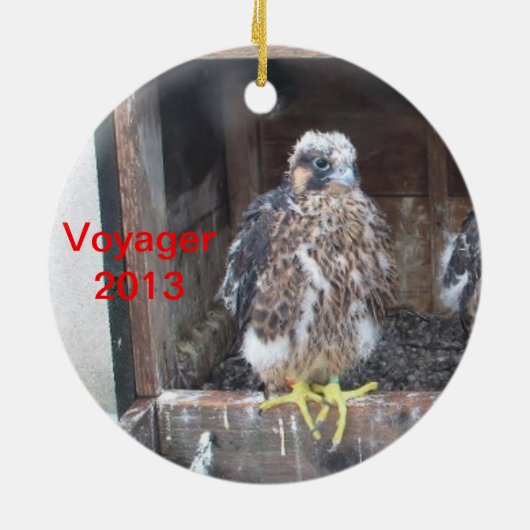 Ornement 2013 de Voyager (Dos)