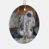 Ornement 2014 de Mercury (Droite)