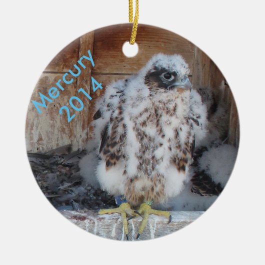 Ornement 2014 de Mercury (Devant)