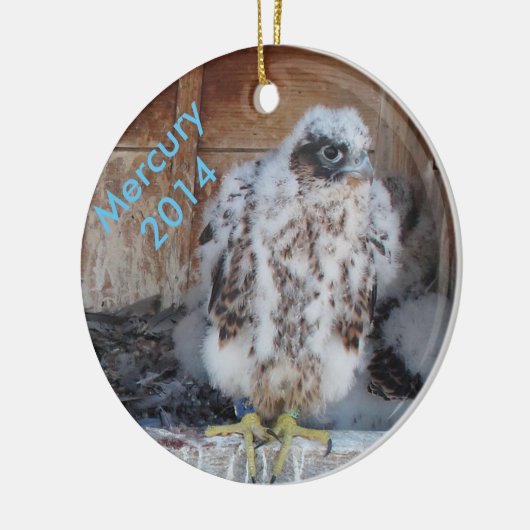 Ornement 2014 de Mercury (Gauche)