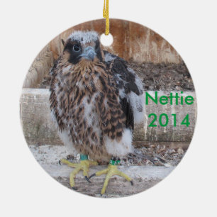 Ornement 2014 de Nettie