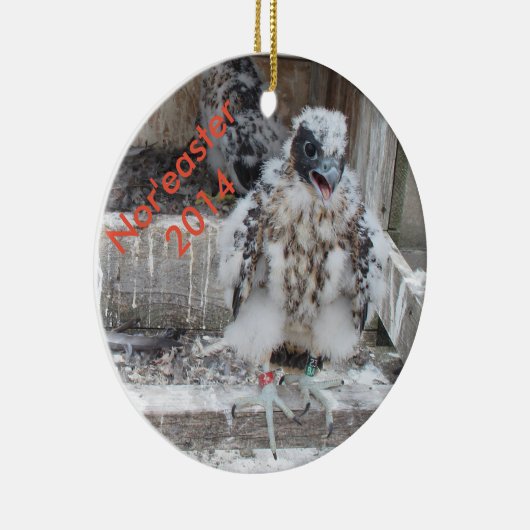 Ornement 2014 de Nor'easter (Droite)