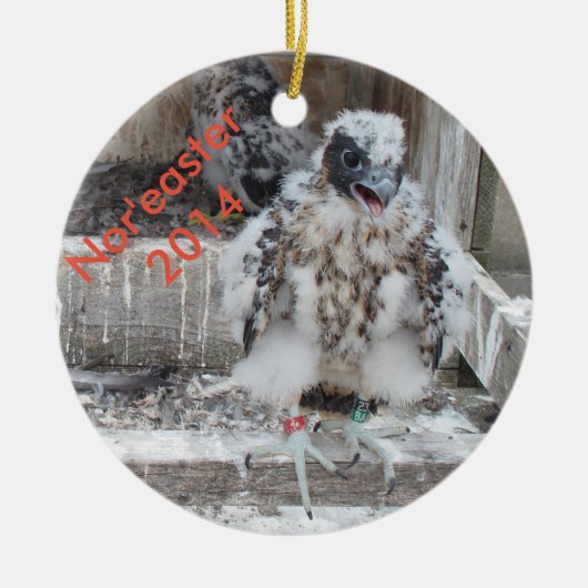 Ornement 2014 de Nor'easter (Devant)