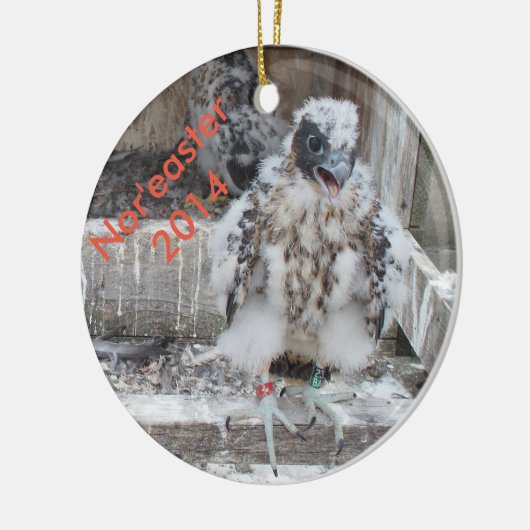 Ornement 2014 de Nor'easter (Gauche)