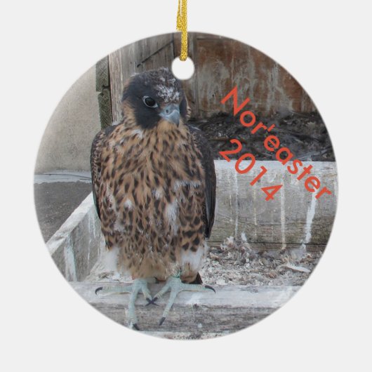 Ornement 2014 de Nor'easter (Dos)