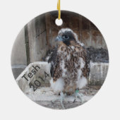 Ornement 2014 de Tesh (Dos)