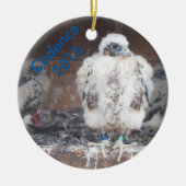 Ornement 2015 de cadence (Devant)