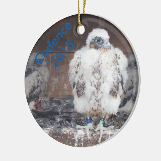 Ornement 2015 de cadence (Gauche)