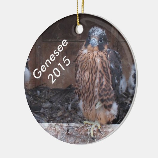 Ornement 2015 de Genesee (Gauche)