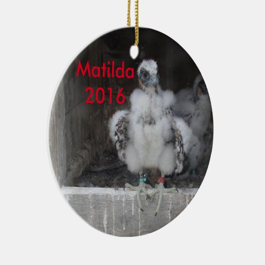 Ornement 2016 de Matilda (Droite)