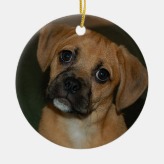 Ornement 2 de Puggle
