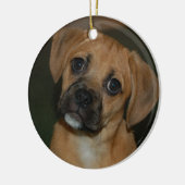 Ornement 2 de Puggle (Gauche)