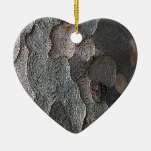 Ornement abstrait de macro d'écorce d'arbre (Devant)