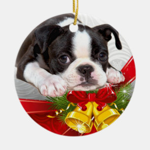Ornement accrochant de Noël de Boston Terrier