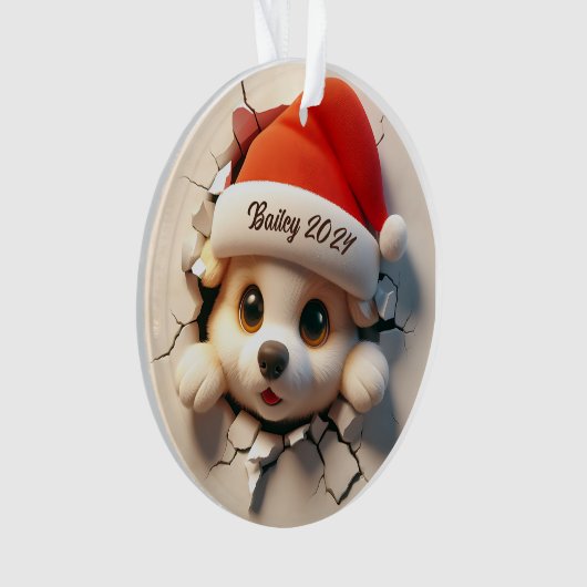 Ornement acrylique (devant)