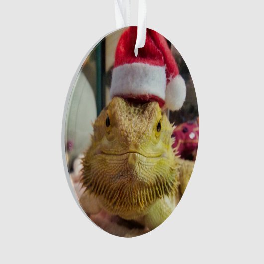 Ornement acrylique Bubbs père Noël (devant)