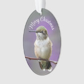 Ornement acrylique colibri de vacances (devant)