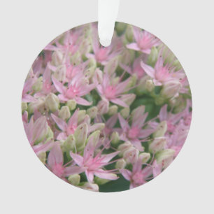 Ornement acrylique de jolies fleurs tropicales ros