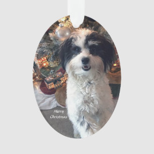 Ornement acrylique de Joyeux Noël, chien mignon