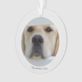 Ornement acrylique de photo de Noël (devant)