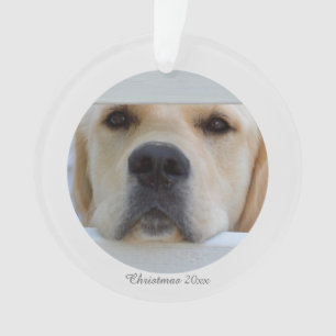 Ornement acrylique de photo de Noël