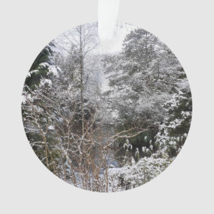 Ornement acrylique des arbres neigeux