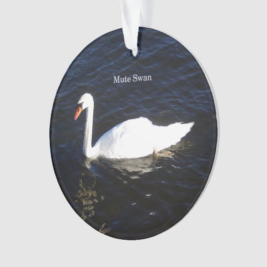 Ornement acrylique Mute Swan (devant)