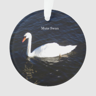 Ornement acrylique Mute Swan