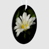 Ornement acrylique rond Oxeye Daisy (devant)