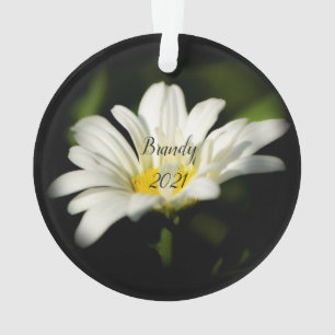 Ornement acrylique rond Oxeye Daisy