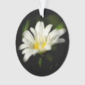 Ornement acrylique rond Oxeye Daisy (devant)