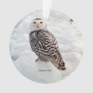 Ornement acrylique Snowy Owl