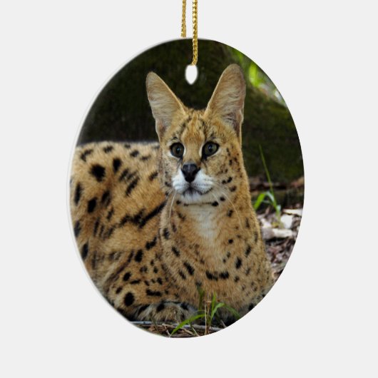 Ornement africain de Noël de Serval (Droite)