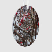 Ornement aigre-doux de baies (devant)