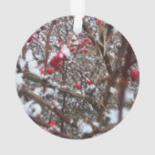 Ornement aigre-doux de baies (dos)