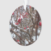 Ornement aigre-doux de baies (devant)