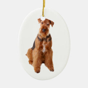 Ornement Airedale Terrier