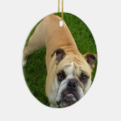 Ornement américain de bouledogue (Droite)