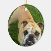Ornement américain de bouledogue (Gauche)