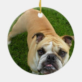 Ornement américain de bouledogue (Dos)