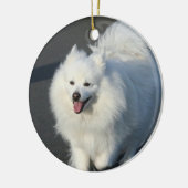 Ornement américain de chien esquimau (Gauche)