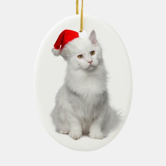 Ornement angora de chat de Père Noël (Dos)