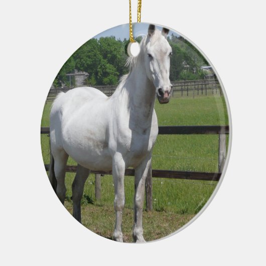 Ornement arabe de cheval (Gauche)